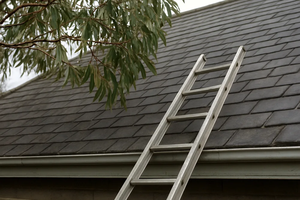 A ladder against a gutter below a steep slate slope with a gum branch overhead — slate roof repairs, Ballarat. Illustrative example.